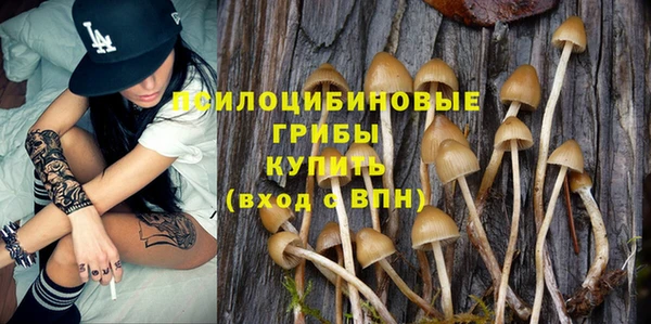 а пвп мука Алзамай