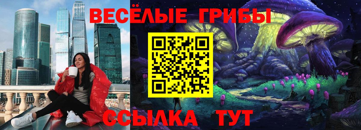 Псилоцибиновые грибы MAGIC MUSHROOMS  цена   Псилоцибиновые грибы Psilocybine cubensis  Канаш  Вход с VPN 