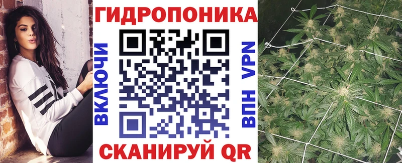 гидра как зайти как найти наркотики Канаш Конопля Ganja