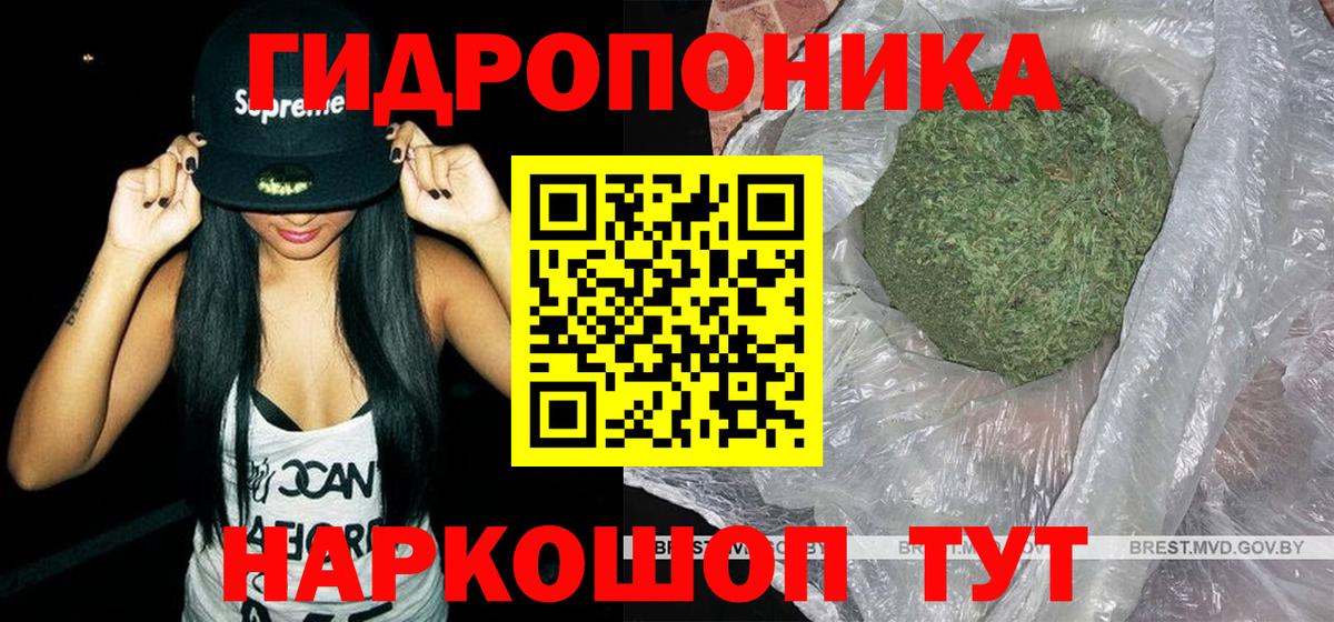 Бошки Шишки ГИДРОПОН Канаш